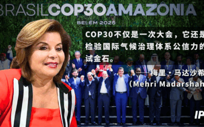 COP 30 as a Turning Point in Global Climate Governance? ｜梅里·马达沙希：COP30会是全球气候治理的转折点吗？