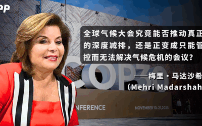 梅里·马达沙希：COP30大会闭幕，一个悬而未决的议题留给世界巨大的问号